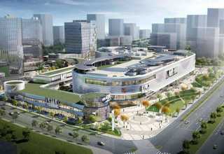 常用圆带哪家好