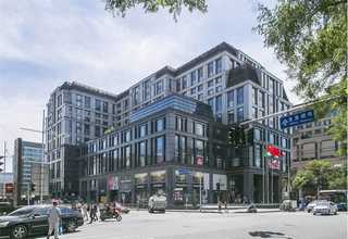 武乡万松堂银杏黄精茶